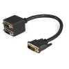 StarTech.com DVI-D auf 2x DVI-D 30cm Splitter Kabel - Dual Link DVI25 Y-Kabel - Stecker / 2x Buchse - DVI-Adapter vergoldete Kontakte - Video-Verteiler - Dual Link - DVI-D weiblich zu DVI-D männlich - 30.5 cm - abgeschirmt - Schwarz - für P / N: DVIDDMM1