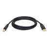 Eaton Tripp Lite Series USB 2.0 A to B Cable (M / M) - 10 ft. (3.05 m) - USB-Kabel - USB (M) zu USB Typ B (M) - USB 2.0 - 3 m - geformt - Schwarz