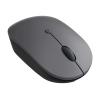 Lenovo Go - Maus - ergonomisch - rechts- und linkshändig - optisch blau - 5 Tasten - kabellos - 2.4 GHz - USB-C Wireless-Empfänger - Storm Gray - für ThinkPad X1 Yoga Gen 8 21HQ