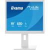 19" TN-panel, 1280x1024, 13cm Height Adj. Stand, HDMI, DisplayPort, 250cd / m²