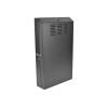 Eaton Tripp Lite Series 4U Wall Mount Low Profile Rack Enclosure Cabinet 36" Deep - Schrank Netzwerkschrank - geeignet für Wandmontage - Schwarz - 4U - 48.3 cm (19")