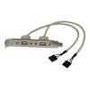 2 Port USB A Slot Plate Adapter