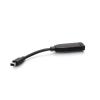 C2G Mini DisplayPort to HDMI Adapter Converter - Videoadapter-Kit - Schwarz - 4K Unterstützung