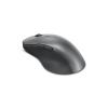 Lenovo Professional - Maus - ergonomisch - optisch blau - 6 Tasten - kabellos - Bluetooth 5.1 - Storm Gray