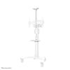 Neomounts Select Video Kit Cam- &AV shelf  (incl. Logitech Rally bar (mini) adapter for FL50S-825WH1 / White