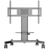 Floor lift _wheels, max.100kg(86" El.h.a