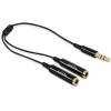 Delock - Audio-Splitter - mini-phone stereo 3.5 mm männlich zu mini-phone stereo 3.5 mm weiblich - 25 cm - Schwarz
