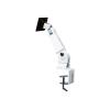 NewStar LCD / LED Tischhalterung (Haken) / 10-24" / 10-24"