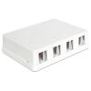 Delock Keystone Surface Mounted Box - Gehäuse mit modularen Einsätzen - weiß - 4 Ports