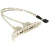 Delock - USB-Konsole - 10-poliger USB-Header (M) zu USB (W) - 30 cm