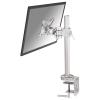 NewStar LCD / LED Tischhalterung (Haken) / 10-26" / 10-26"