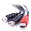 Kabel / 2 m USB 2,0 2 AM / MINI-B M Y-CBL Black