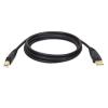 Eaton Tripp Lite Series USB 2.0 A to B Cable (M / M), 6 ft. (1.83 m) - USB-Kabel - USB (M) zu USB Typ B (M) - USB 2.0 - 1.8 m - Schwarz