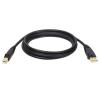 Eaton Tripp Lite Series USB 2.0 A to B Cable (M / M) - 10 ft. (3.05 m) - USB-Kabel - USB (M) zu USB Typ B (M) - USB 2.0 - 3 m - geformt - Schwarz
