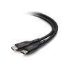 C2G 12ft (3.7m) USB-C Male to USB-C Male Cable (20V 5A) - USB 2.0 (480Mbps) - USB-Kabel - 24 pin USB-C (M) zu 24 pin USB-C (M) - USB 2.0 - 20 V - 5 A - 3.7 m - Schwarz