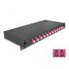 Delock 19 Zoll LWL Spleißbox 12 x LC Duplex OM4 1HE