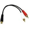 Kabel / 6IN RCA FeMale TO 2 RCA Male Y-CBL