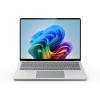 Srfc Lptp 13 CU5 / 32GB / 512GB Platinum