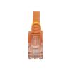 50cm CAT6 Ethernet Cable Orange Cat6 PoE