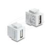 Delock Mini - USB-A Kupplung - USB (W) zu USB (W) - USB 2.0 - Keystone-Buchse - weiß