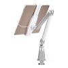NewStar Tablet & Smartphone Arm (universel for all tablets & smartphones) / Silver
