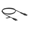 Delock - Stromkabel - USB-C (M) zu 2-polig (M) - 5 V - 1 A - 1 m - Schwarz