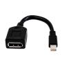HP - DisplayPort-Adapter - Mini DisplayPort (M) zu DisplayPort (W) - für Elite 800 G9, Workstation Z2 G8, Z2 G9, Z4 G5, Z6 G5, ZBook Fury 15 G8, 16 G9, 17 G8