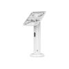 Compulocks VESA Tilting Kiosk Stand 8" with Cable Management - Aufstellung - für Tablett - weiß - Montageschnittstelle: 100 x 100 mm - Schreibtisch