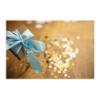 Brother TZe-RL34 - Seidig - Gold auf Hellblau - Rolle (1,2 cm x 4 m) 1 Kassette(n) Band - für Brother PT-D210, D600, H110, P-Touch PT-1005, 1880, E310, E800, P-Touch Cube Plus PT-P710