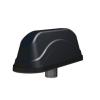 LOW PROF MIMO 2 / 3/4G+WIFI 3m SMAP