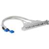 StarTech.com 4 Port USB 2.0 Buchse Slotblech Adapter mit 2x 10-Pin Mainboard Header - USB-Konsole - USB (W) zu 9-polig IDC (W)