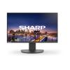 Sharp MultiSync EA241F - LED-Monitor - 60.96 cm (24") (23.8" sichtbar) - 1920 x 1080 Full HD (1080p) - IPS - 250 cd / m² - 1000:1 - 6 ms - HDMI, DVI-D, VGA, DisplayPort - Lautsprecher - Schwarz