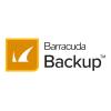 Barracuda Backup Replication to a Virtual Receiver - Abonnement-Lizenz (1 Monat) - für P / N: BBS895A