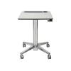 LEARNFIT", 16" TRAVEL ADJUSTABLE STANDING DESK, CLEAR ANODIZED