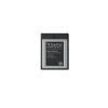 SanDisk Professional - Flash-Speicherkarte - 256 GB - CFexpress Typ B - Schwarz