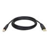 Eaton Tripp Lite Series USB 2.0 A to B Cable (M / M), 6 ft. (1.83 m) - USB-Kabel - USB (M) zu USB Typ B (M) - USB 2.0 - 1.8 m - Schwarz