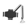Tablet Arm - Desk-Mount - Articulating