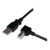StarTech.com 3m USB 2.0 A auf B Kabel rechts gewinkelt - St / St - USB Druckerkabel - USB-Kabel - USB Typ B (M) zu USB (M) - USB 2.0 - 3 m - 90°-Stecker - Schwarz