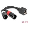 Delock Adapterkabel RJ45 Buchse zu 2 x XLR 3 Pin Stecker schwarz 20 cm