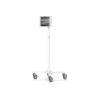Compulocks iPad Pro M4 13" (2024), Apex Enclosure Rolling Cart - Rise Freedom Extended - Befestigungskit (Gehäuse, Wagenständer) - für Tablett - verriegelbar - medizinisch - hochwertiges Aluminium - weiß - Bildschirmgröße: 33 cm (13") - Wandmontage -