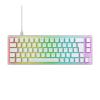 CHERRY XTRFY K5V2 - Tastatur - 65% - compact - hintergrundbeleuchtet - USB - QWERTZ - Deutsch - Tastenschalter: CHERRY MX2A Red - weiß