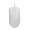 Active Key AK-PMH12 - Maus - optisch - 5 Tasten - kabelgebunden - USB - weiß