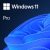 Windows 11 Pro - Lizenz - 1 Lizenz - ESD - National Retail, 64-bit - alle Sprachen