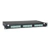 Eaton Tripp Lite Series 36-Port LC / LC Rackmount Fiber Enclosure Feed Through Patch Panel 1U - Patch Panel - Rack montierbar - LC x 36 - Schwarz - 1U - 48.3 cm (19")