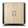 APC NetShelter - Schrank (vertikal) - schallisoliert - AC 100-230 V - Ahorn - 12U - 48.3 cm (19")