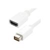 Mini DVI to HDMI Adapter Macbooks / iMacs