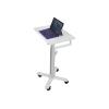 Ergotron S-Tablet-Wagen - Wagen - für Tablett - verriegelbar - pulverbeschichteter Stahl - weiß, Aluminium - Bildschirmgröße: bis zu 30,5 cm (bis zu 12 Zoll) - TAA-konform - für Microsoft Surface 2, 3, Pro, Pro 2, Pro 3, Pro 4, RT