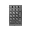 Lenovo Go Wireless Numeric Keypad - Tastenfeld - kabellos - 2.4 GHz - Tastenschalter: Scissor-Key - Storm Gray - retail