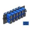 Delock - Glasfaser-Adapterplatine - SC / UPC SM X 12 - Blau, Schwarz