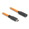 Delock - USB-Kabel - 24 pin USB-C (M) zu 24 pin USB-C (W) - 20 V - 5 A - 1 m - up to 5 Gbps data transfer rate - orange